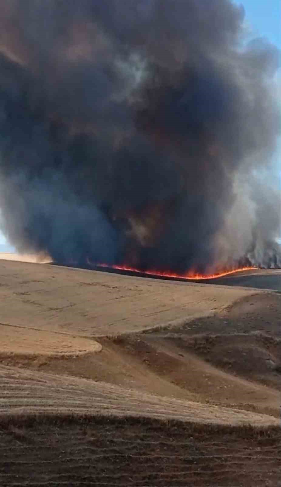 Diyarbakır’da bin dönümlük arazi kül oldu