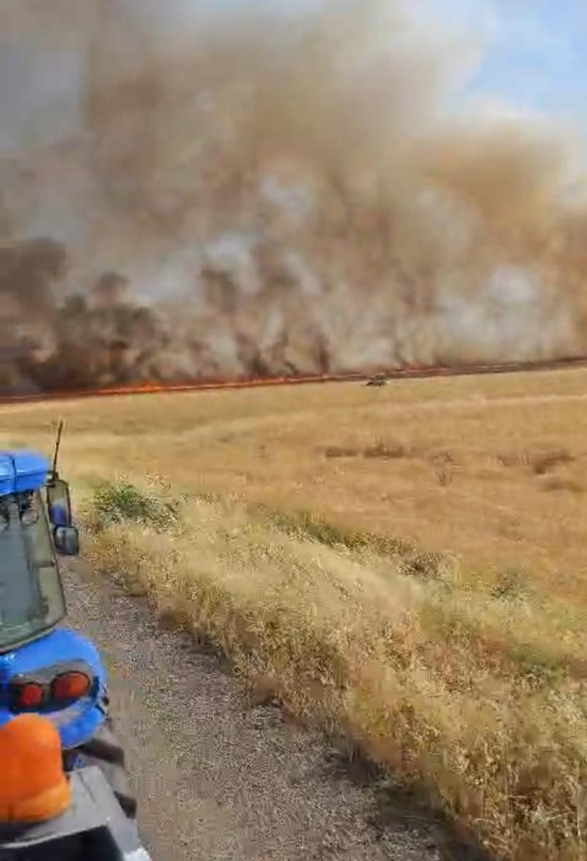 Diyarbakır’da 500 dönüm buğday kül oldu