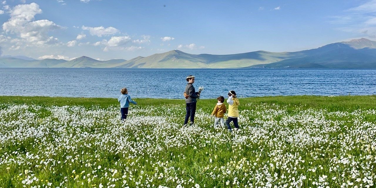 Ağrı Balık Gölü ve Papatyalar insanın ruhunu dinlendiriyor