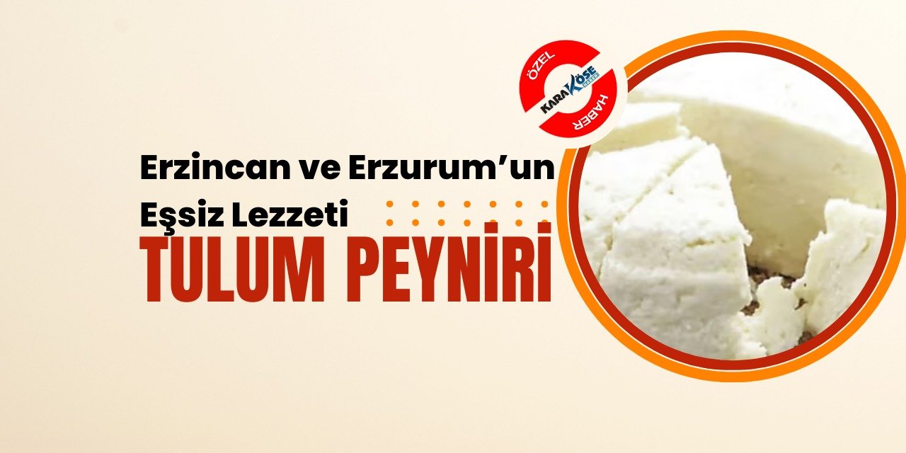 Erzincan ve Erzurum’un Eşsiz Lezzeti: Tulum Peyniri