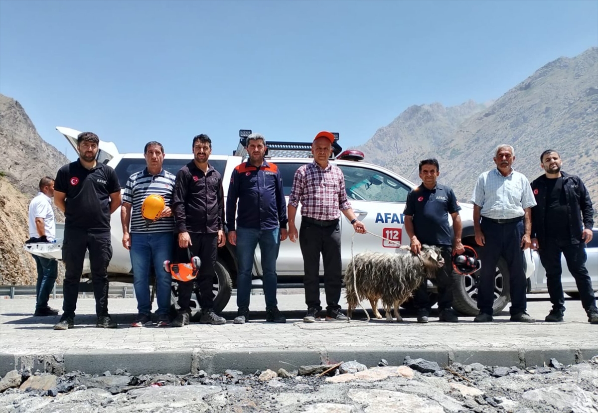 Hakkari'de kayalıklarda mahsur kalan kurbanlık keçi kurtarıldı