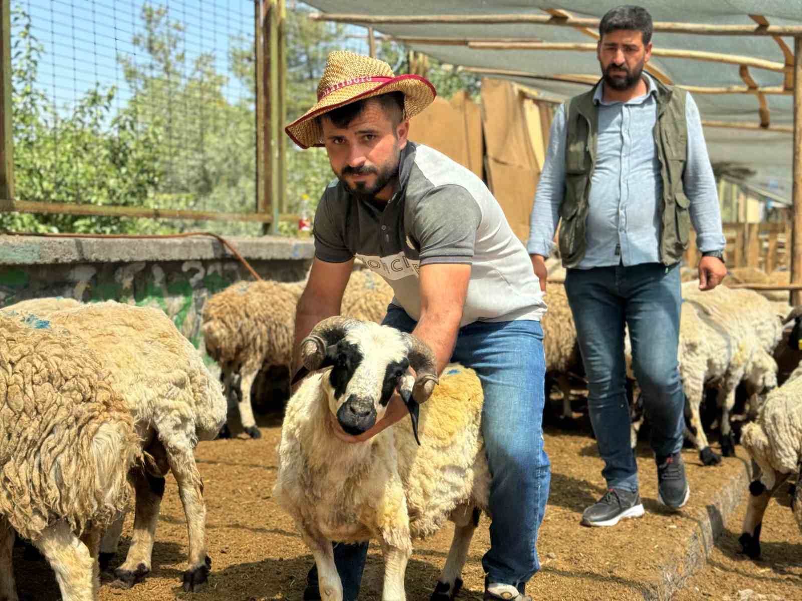 Diyarbakır’da hayvan pazarında yoğunluk yaşanıyor