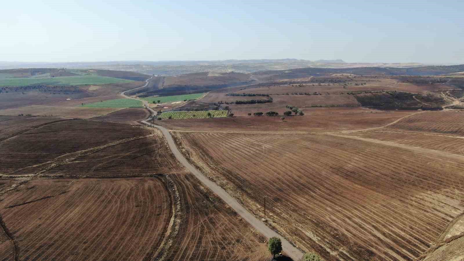 Diyarbakır’da yangında zarar gören alanlar görüntülendi