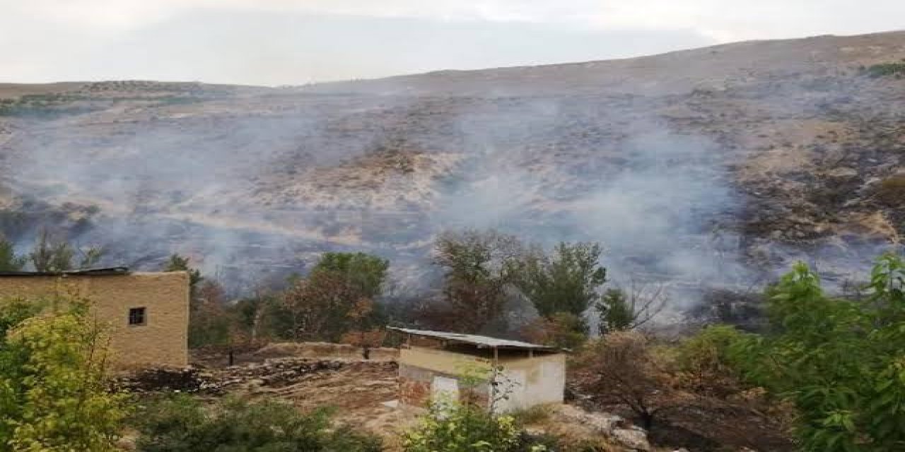 Malatya'da ormanlık alanda çıkan yangın söndürüldü