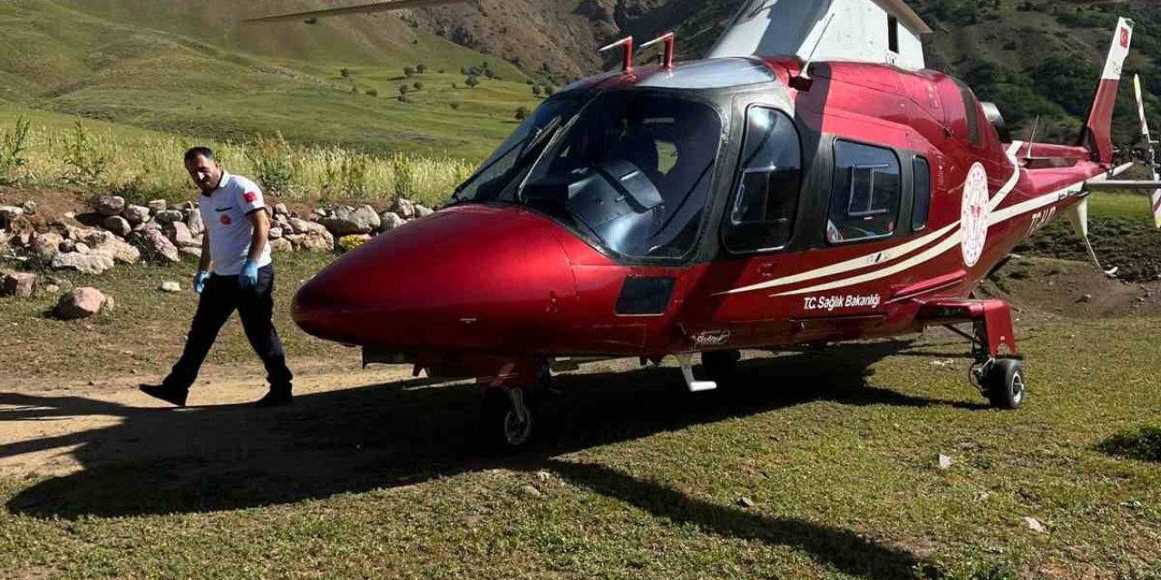 Arı sokması sonucu bilinç kaybı yaşayan hasta, ambulans helikopterle Erzurum’a sevk edildi