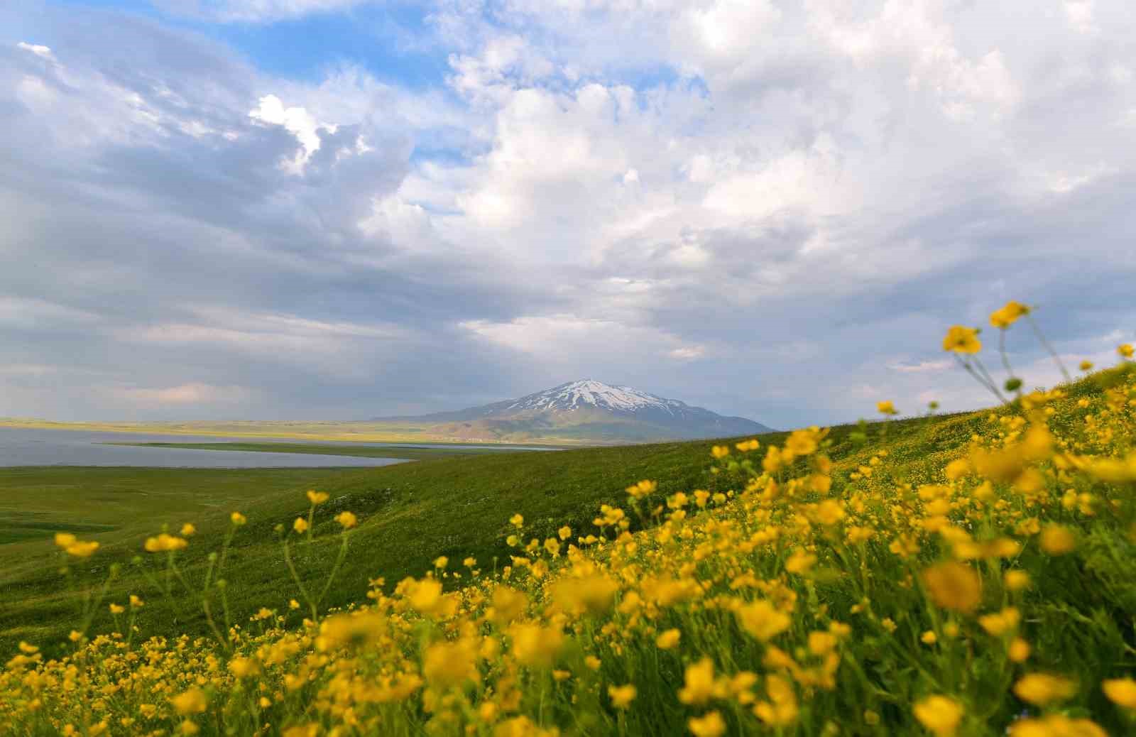 Sütey Yaylası ve Süphan Dağı'nın manzarası büyülüyor