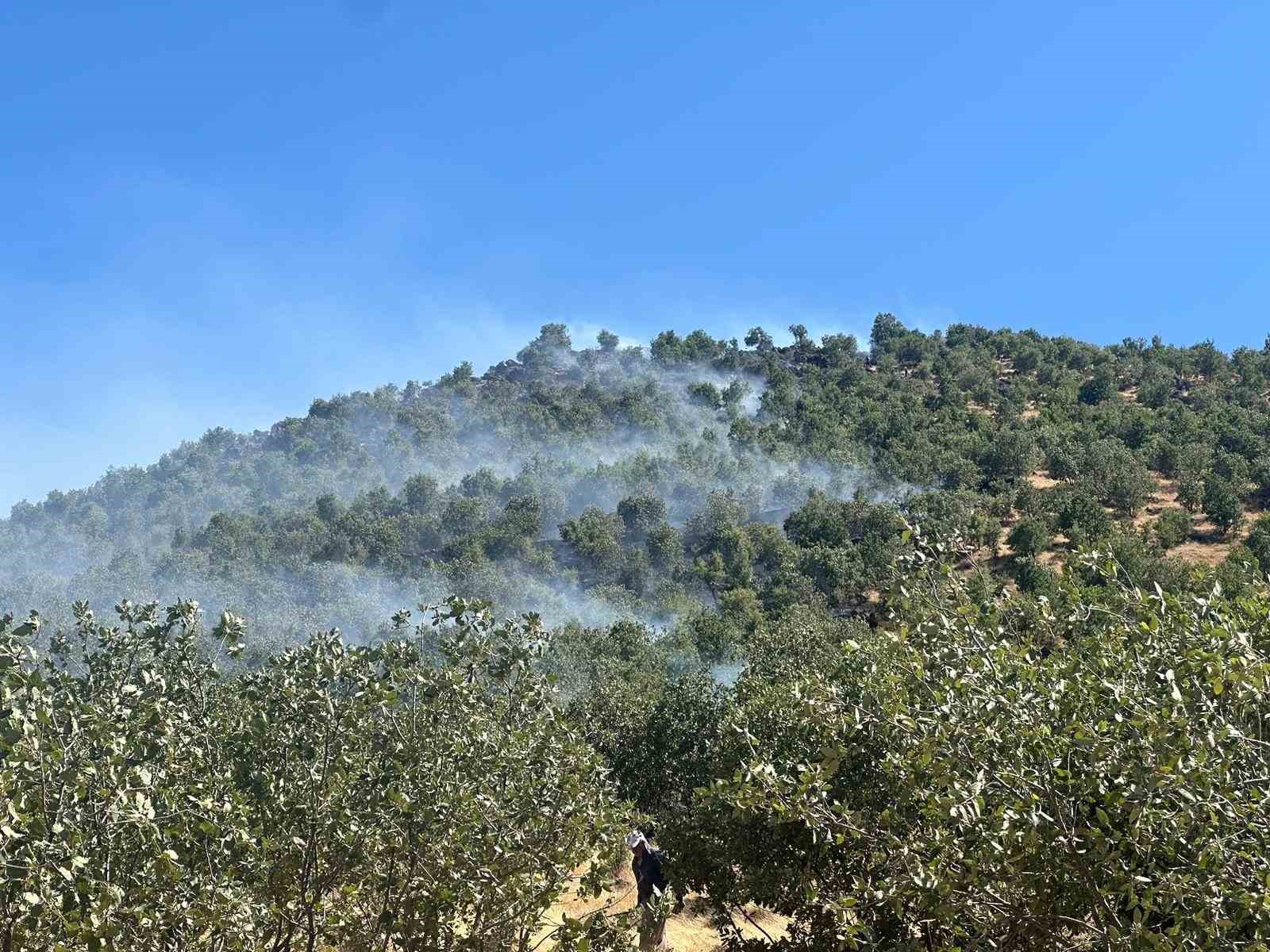 Diyarbakır’da orman yangını