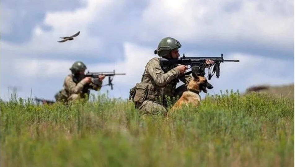 Pençe-Kilit, Fırat Kalkanı ve Zeytin Dalı bölgelerinde 10 terörist etkisiz hale getirildi