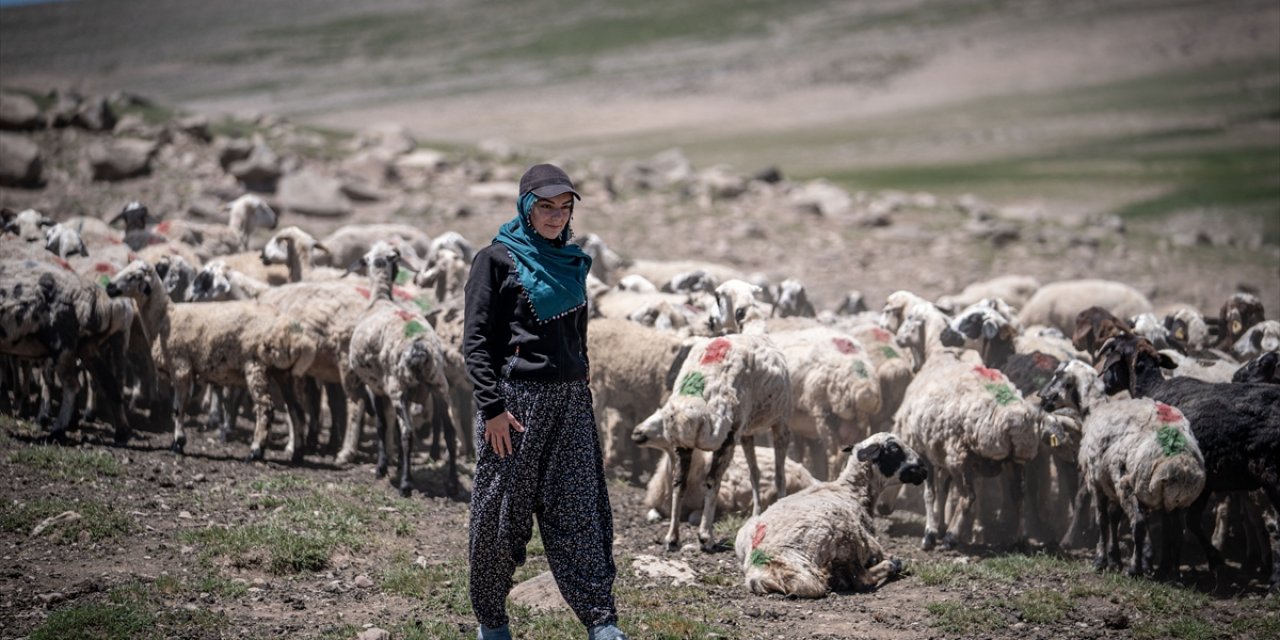 Doğduğu Erzurum yaylalarında şimdi öğretmenlik hayali kuruyor