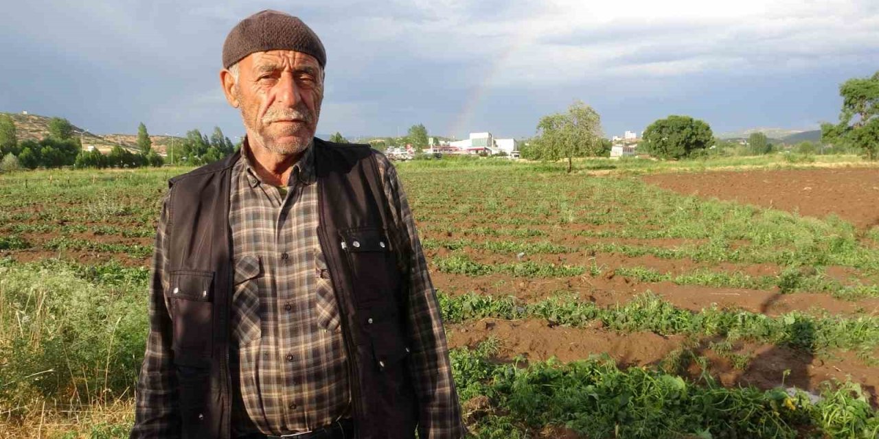 Bingöl’de bölgesel dolu yağışı sebze fidelerine zarar verdi