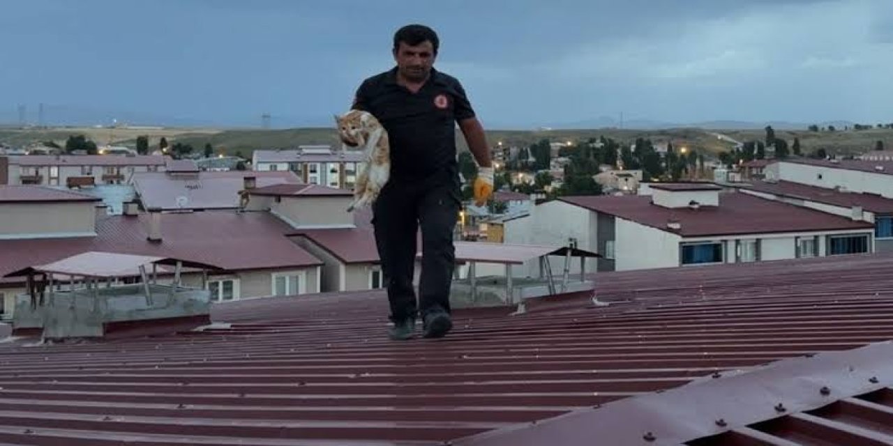 Erzurum'da çatıdaki kediyi itfaiye kurtardı