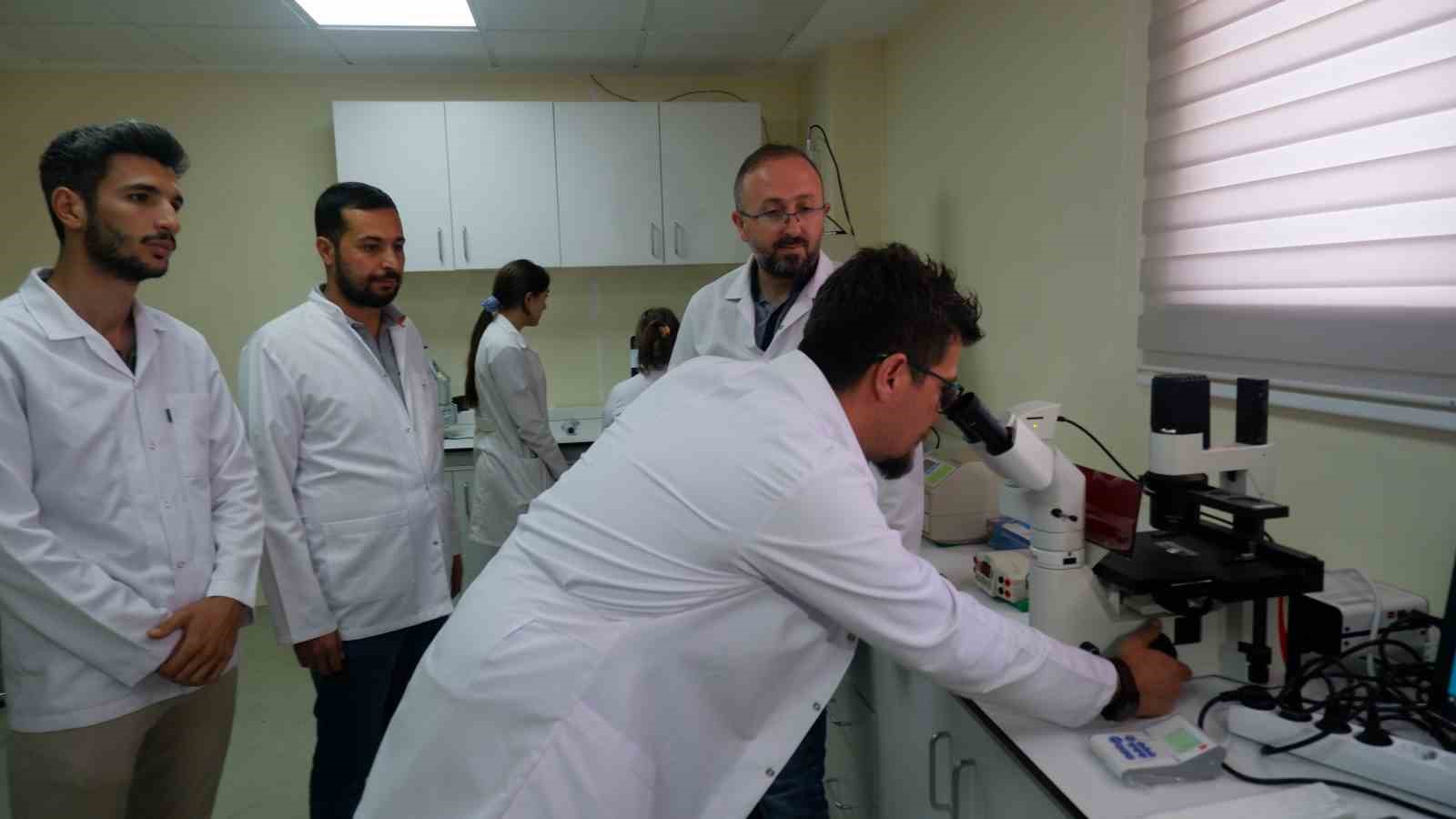 Türk bilim insanının tıp dünyasını heyecanlandıran çalışması