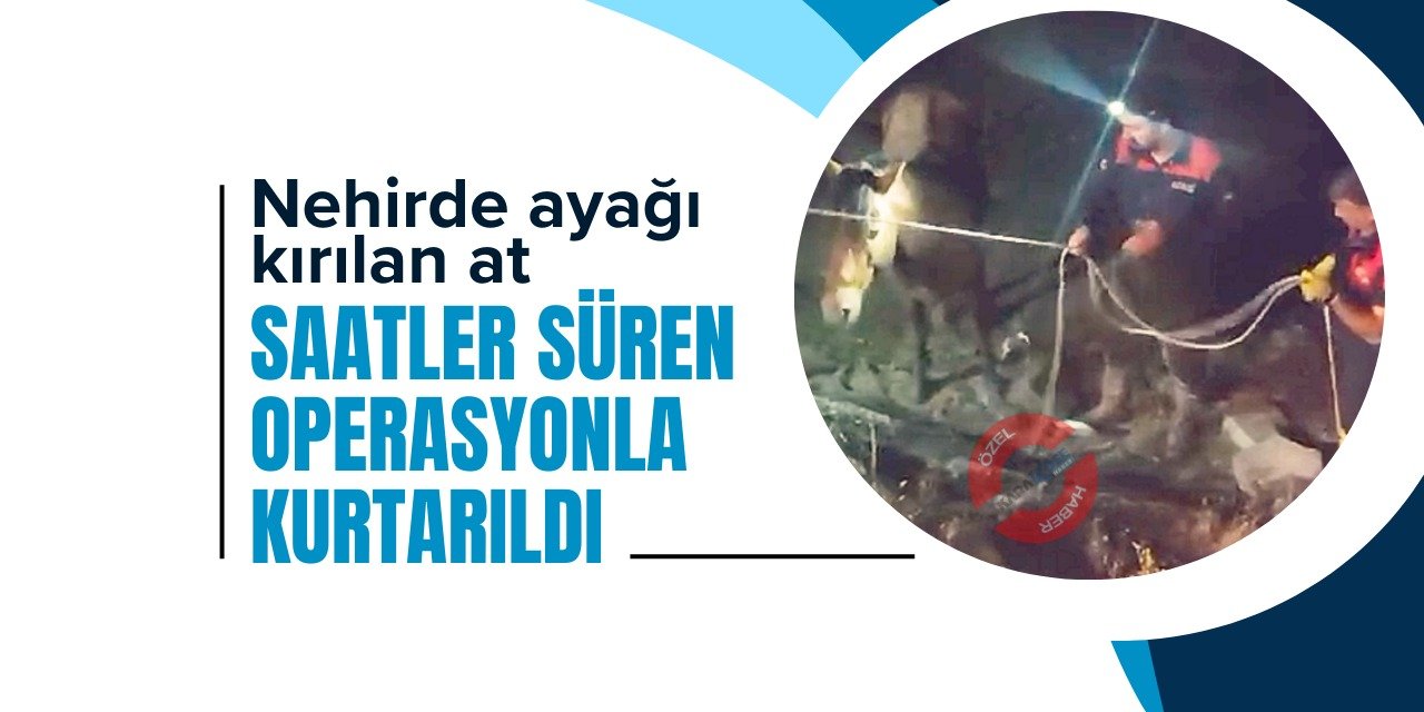 Nehirde ayağı kırılan at saatler süren operasyonla kurtarıldı