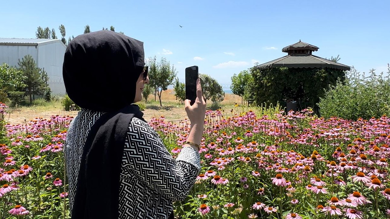 Van’da tıbbi bitkiler adeta fotoğraf stüdyosuna döndü