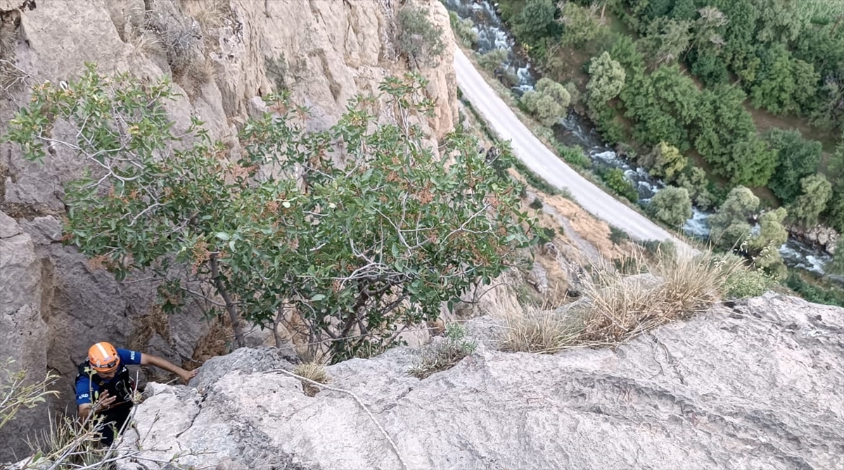 Bitlis'te kayalıklarda mahsur kalan oğlaklar kurtarıldı