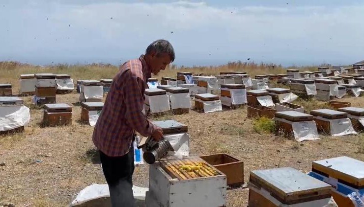 Bitlis'te bal sağımı başladı