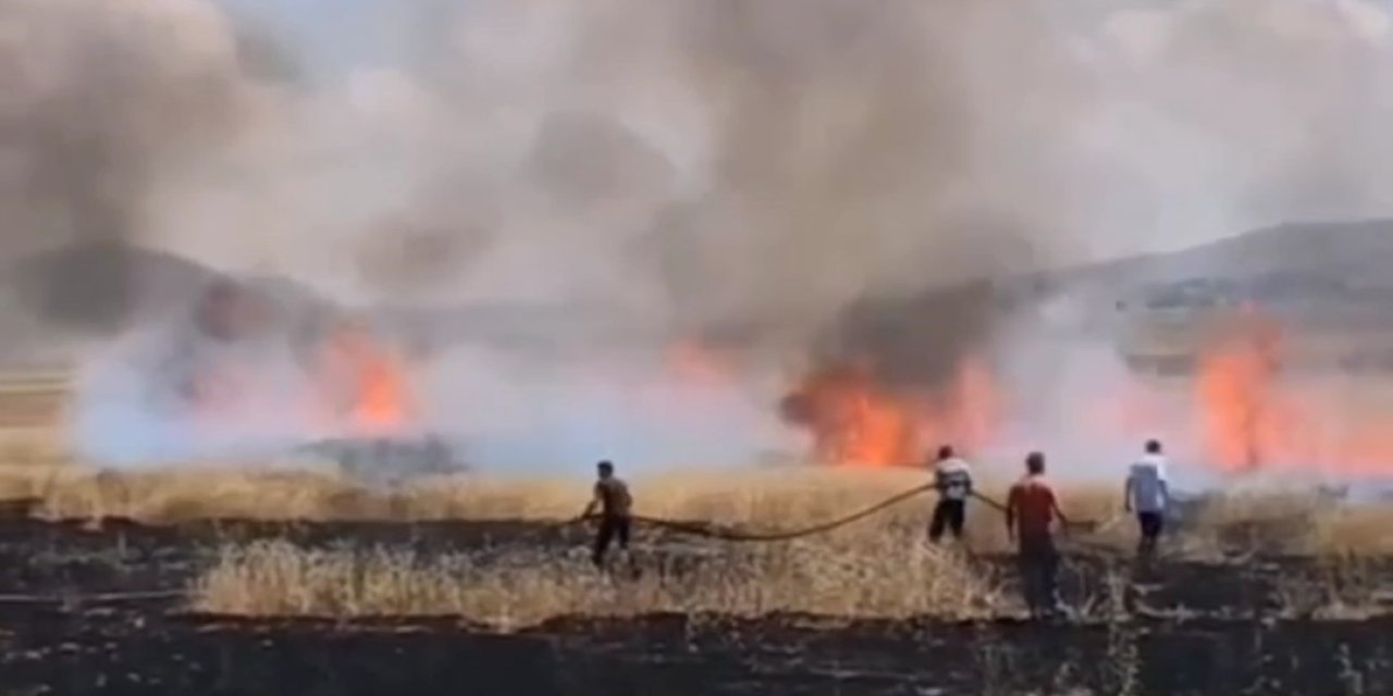 Van’da tarım arazisinde yangın