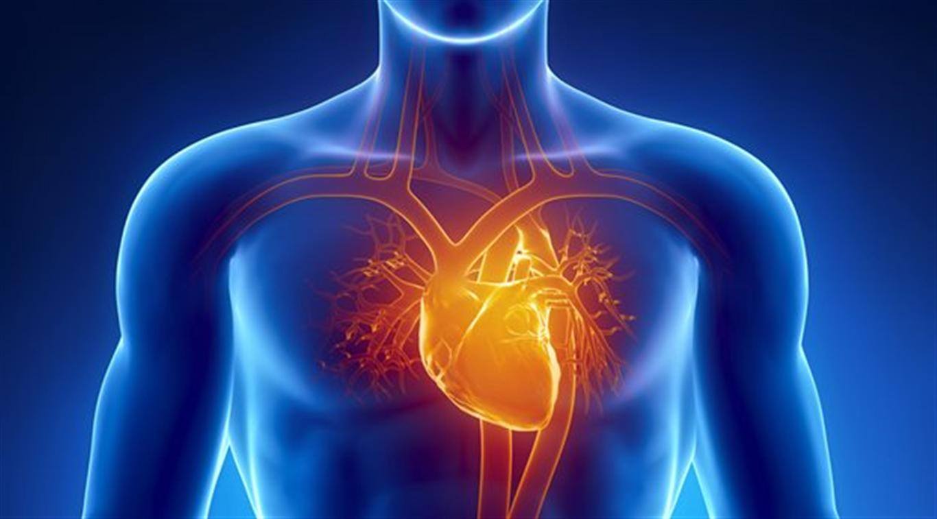 Kalp kapak hastalıklarının 8 nedeni