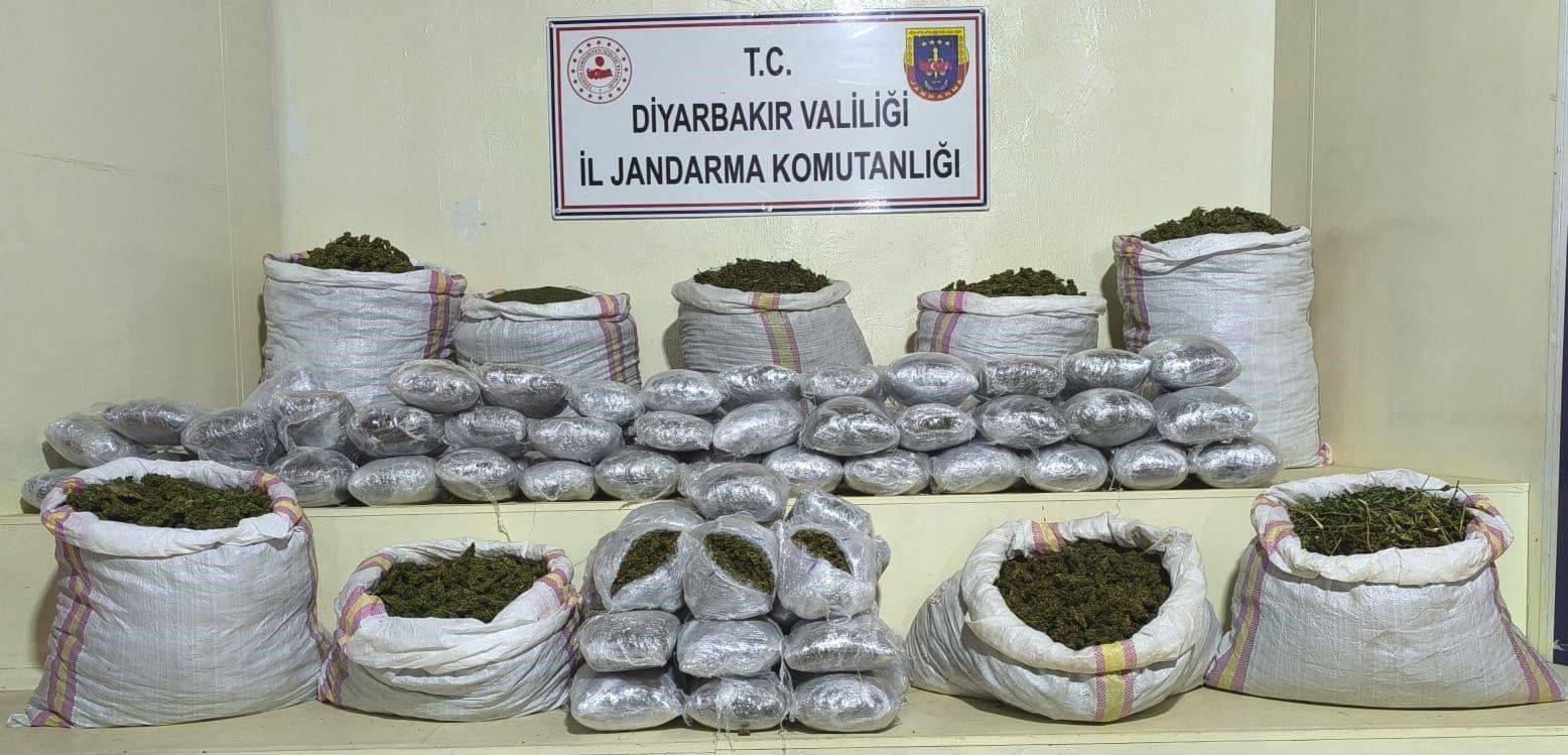 Diyarbakır’da uyuşturucuya darbe: 2 milyon 669 bin kök kenevir ele geçirildi