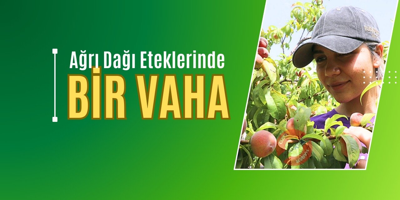 Ağrı Dağı Eteklerinde Bir Vaha