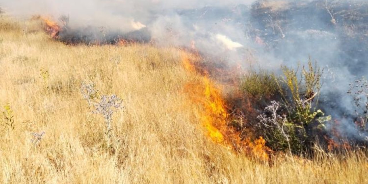 Adilcevaz’da korkutucu yangın