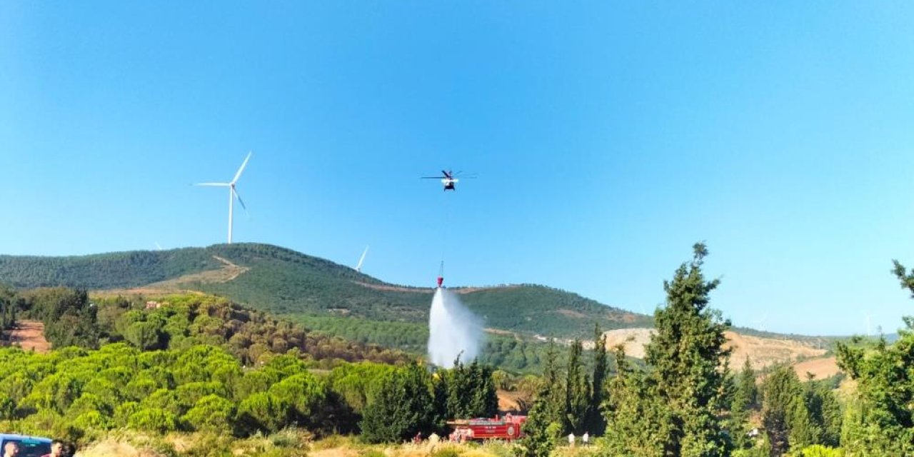 Yalova’da iki noktada çıkan yangınlar kontrol altına alındı