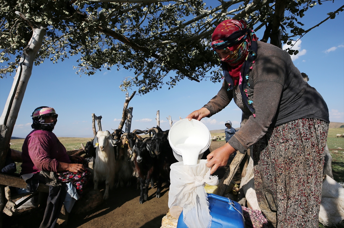 Muş'ta göçer kadınların zorlu hayatı