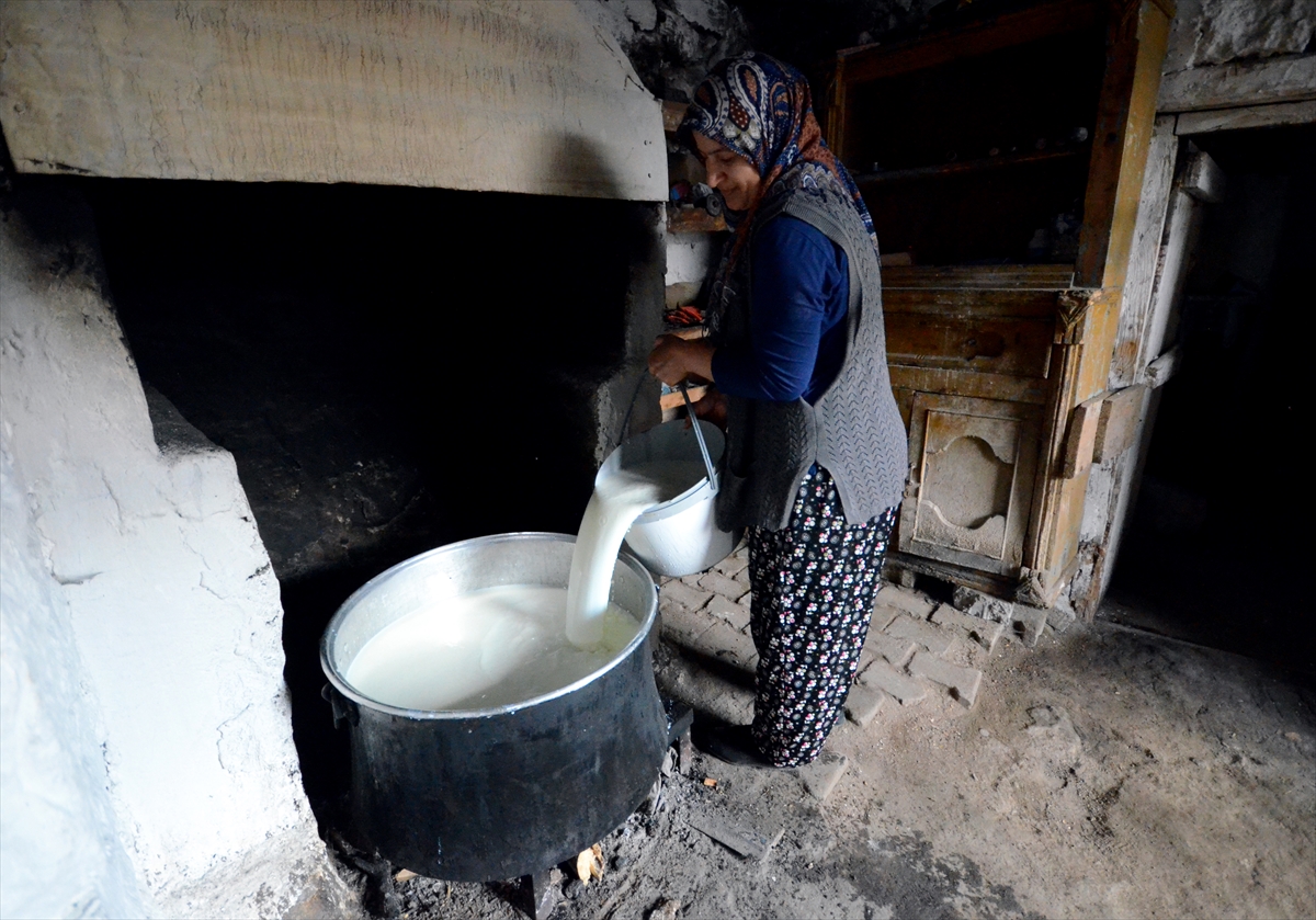 Kars'ta kadınların çeçil peyniri telaşı başladı