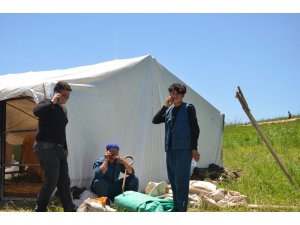 Göçerler, yaylalardaki yerini almaya başladı