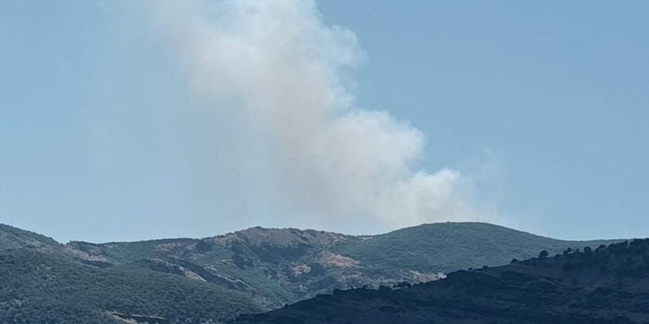 Tunceli’de orman yangını