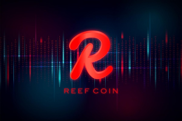 Reef Coin neden düşüyor? 2024