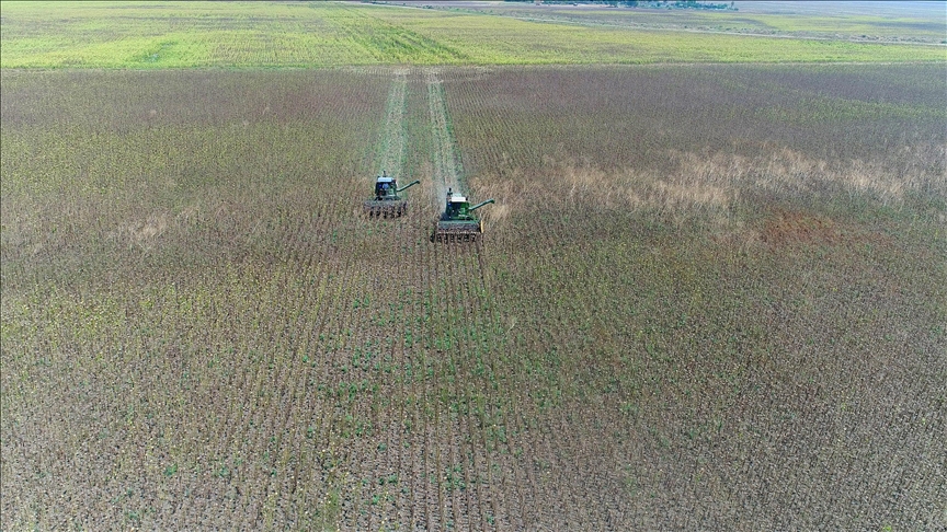 Tarımda yeni dönem: İki yıl üst üste işlenmeyen araziler kiraya verilecek