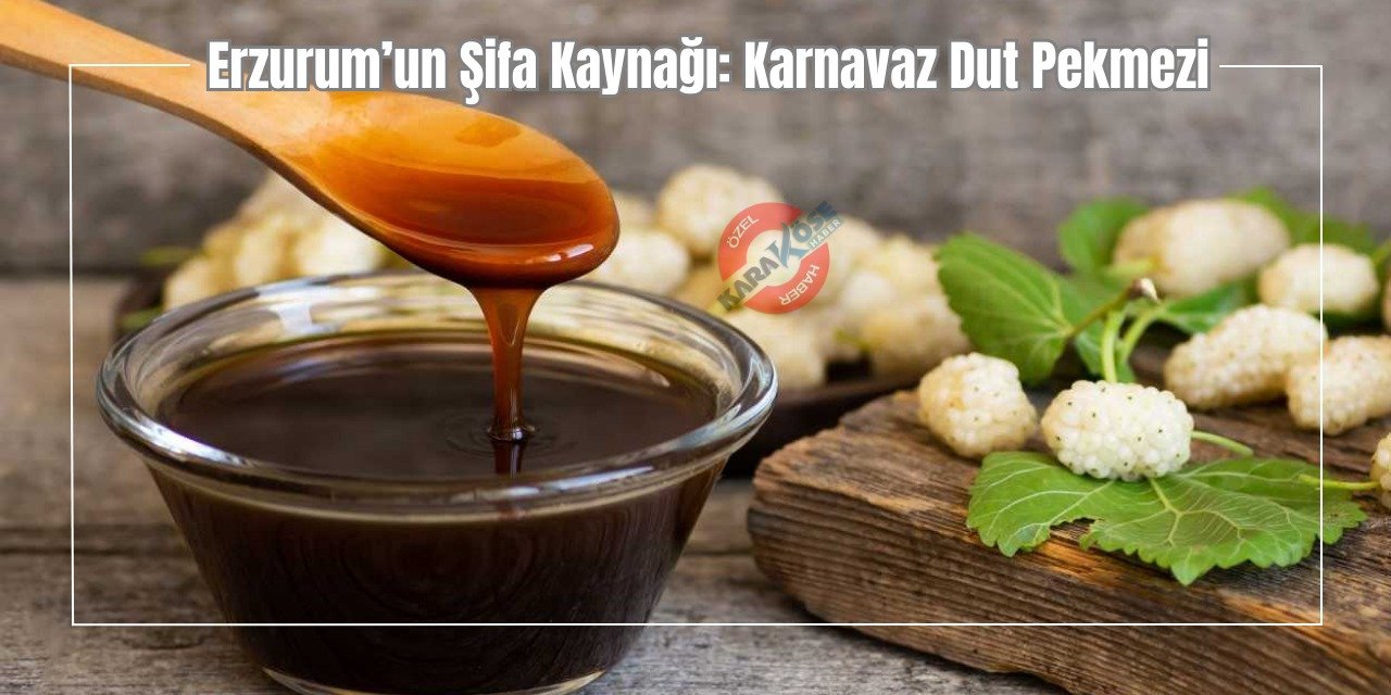 Erzurum’un Şifa Kaynağı: Karnavaz Dut Pekmezi