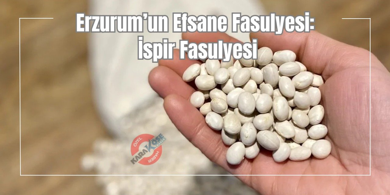 Erzurum’un Efsane Fasulyesi: İspir Fasulyesi