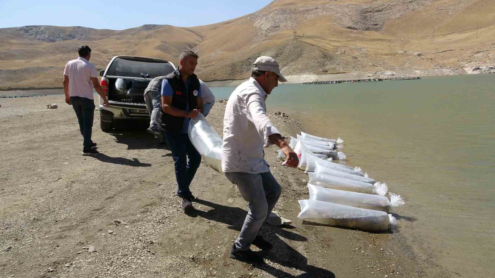 Van’da binlerce yavru sazan göllere bırakıldı