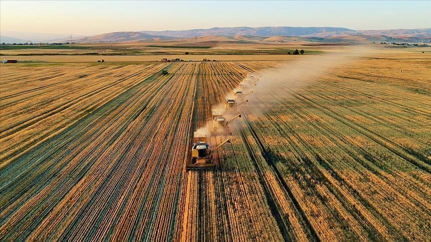 Destekleme ödemeleri çiftçilerin hesaplarına yatırıldı