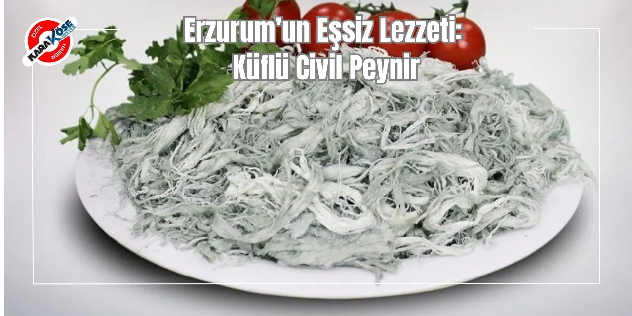 Erzurum’un Eşsiz Lezzeti: Küflü Civil Peynir