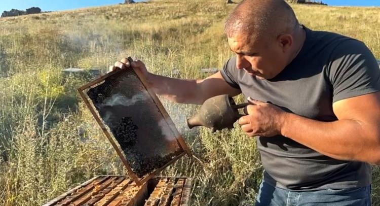 Karslı arıcı, 120 yıllık gelenek ile arıları sakinleştiriyor