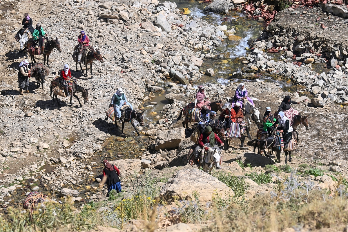 Van'da berivanlar her gün zorlu yayla yolunu tutuyor