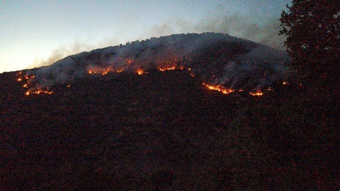 Bitlis’te çıkan orman yangınları kontrole alındı