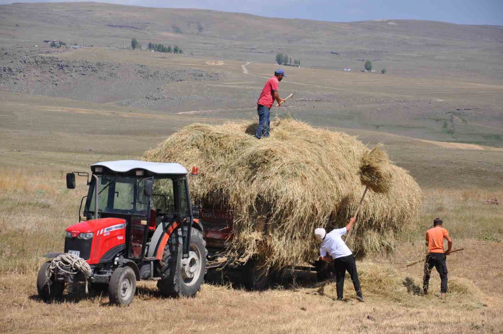 Kars’ta çiftçilerin ot toplama mesaisi