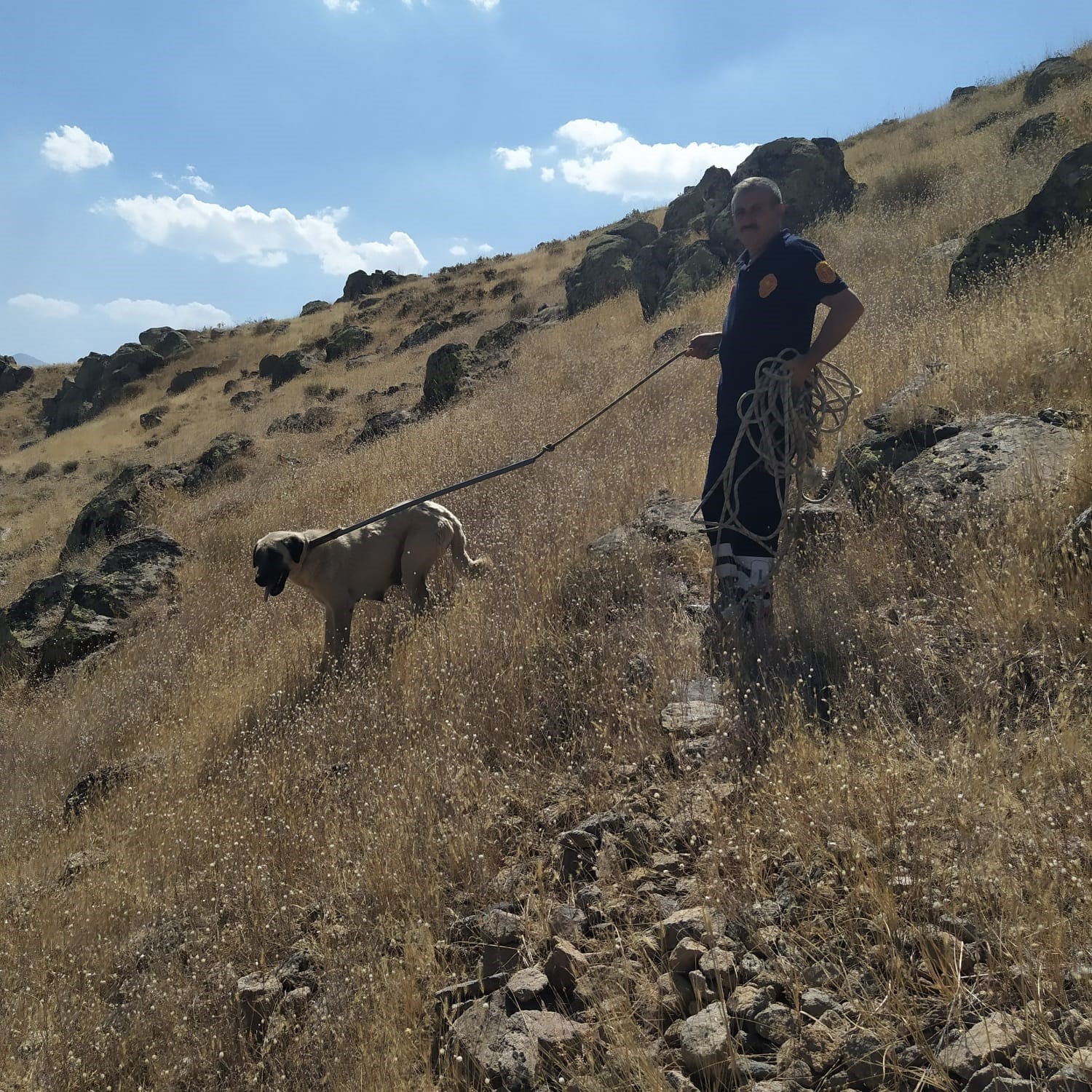 Van'da kayalıklarda mahsur kalan köpeği itfaiye ekipleri kurtardı