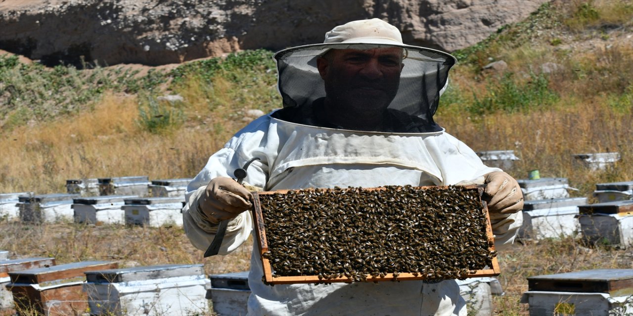 Kars'ta Yüksek Verimli Bal Hasadı