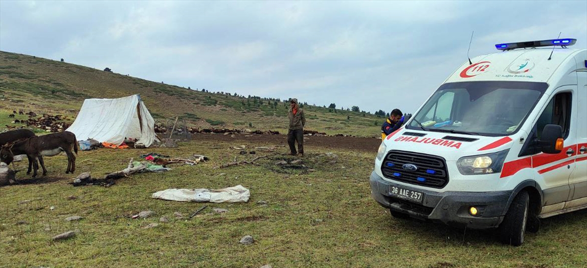 Kars'ta yıldırım düştü: 2 çoban yaralandı