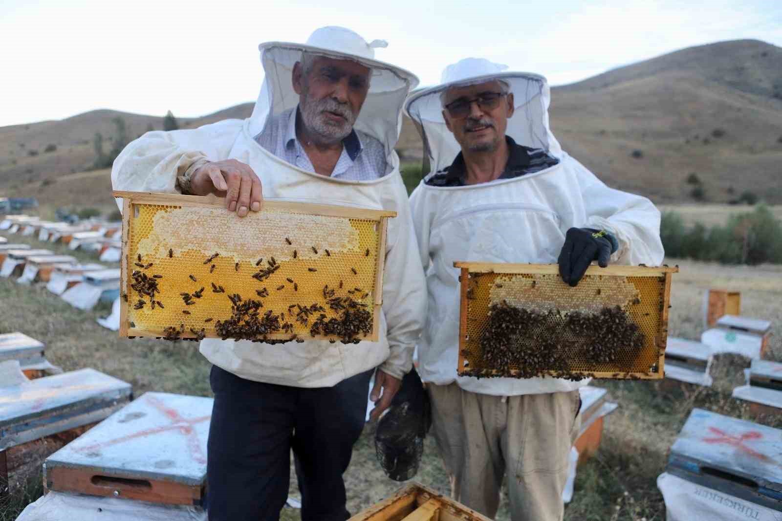 Hobi olarak başladıkları arıcılıkta 7 ton bal ürettiler