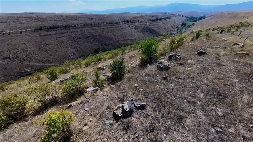 Iğdır'ın badem ormanı köylüye ek gelir sağladı