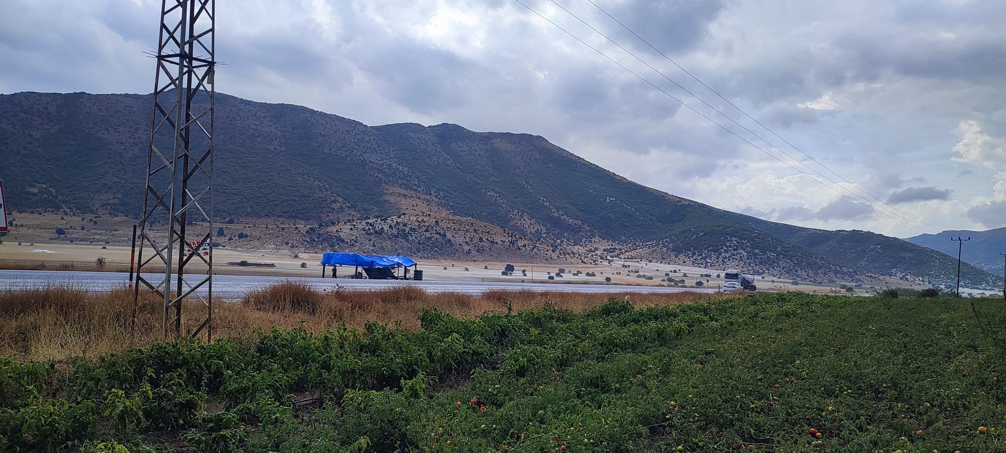 Bitlis'i dolu vurdu: Ekinler zarar gördü