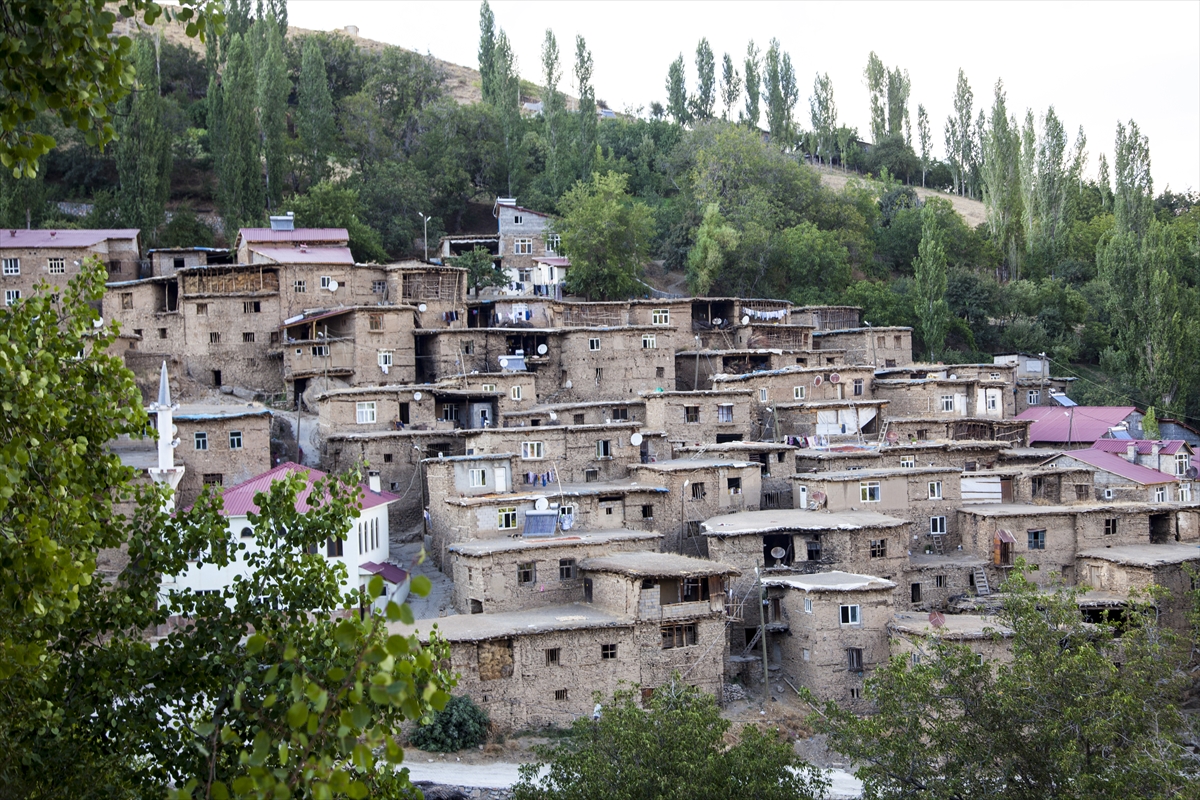 Bitlis'teki taş evler fotoğraf tutkunlarının ilgisini çekiyor