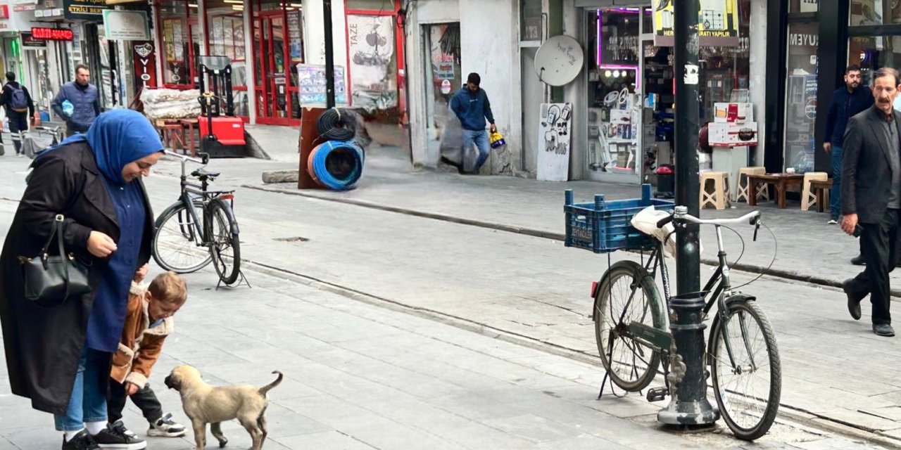 Sokak Köpeği Gofret caddenin maskotu oldu