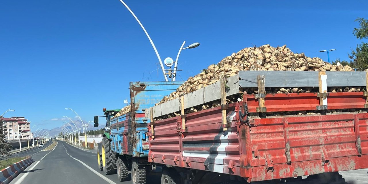 Ağrı’da Şeker Pancarının Fabrikaya Yolculuğu Sürüyor